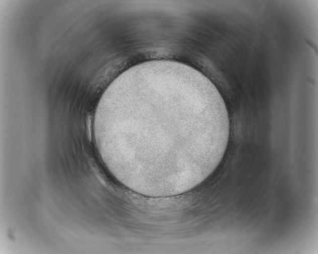 X0000098140022200805151151