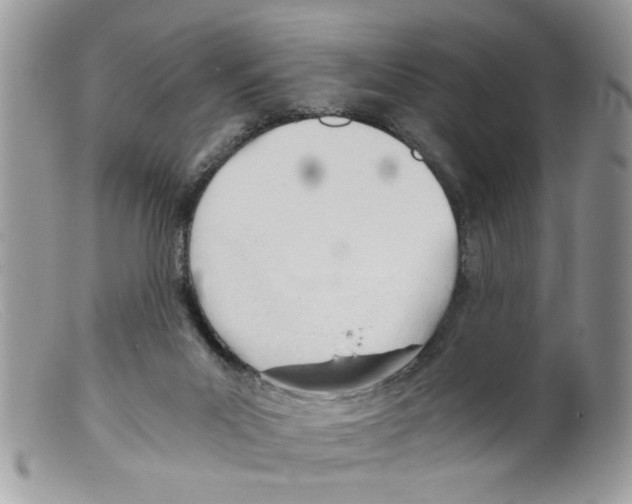 X0000098140023200805151151