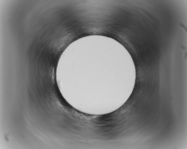 X0000098140024200805151151