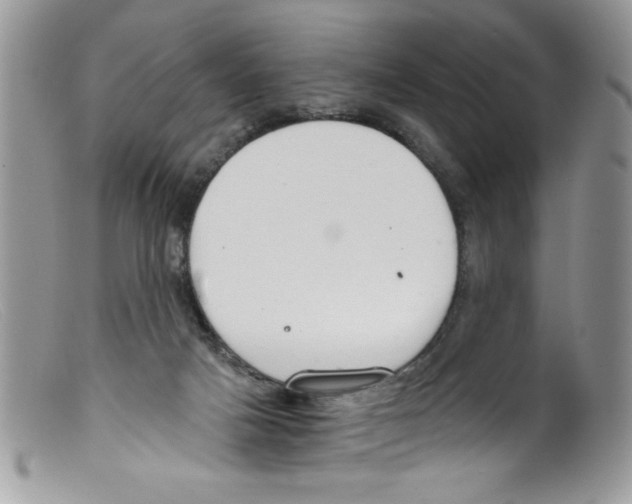 X0000098140025200805151151