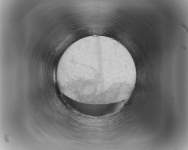 X0000098140027200805151151