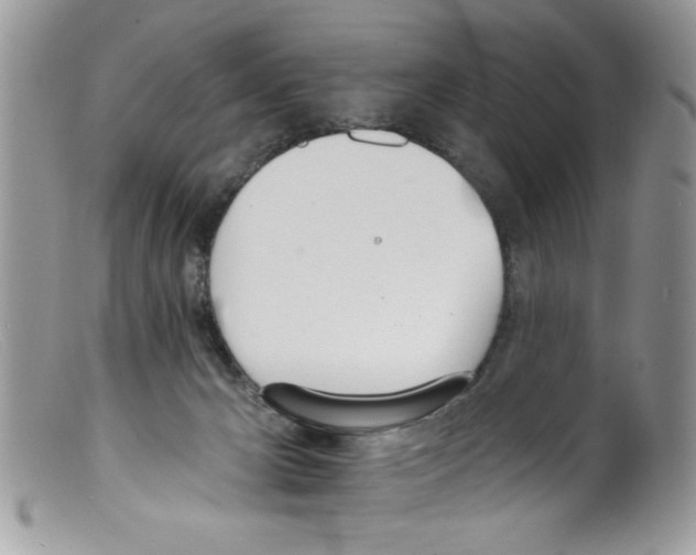 X0000098140029200805151151