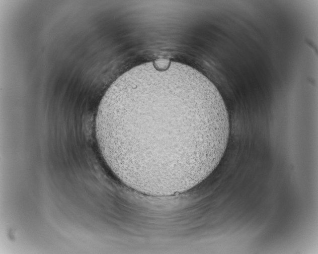 X0000098140030200805151151