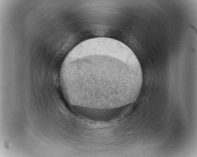 X0000098140031200805151151