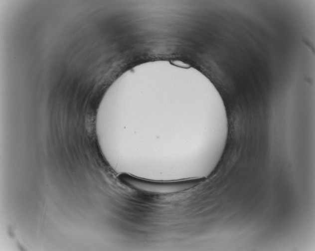 X0000098140033200805151151