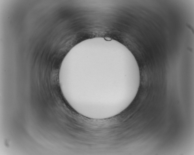 X0000098140034200805151151