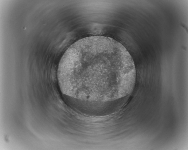 X0000098140035200805151151