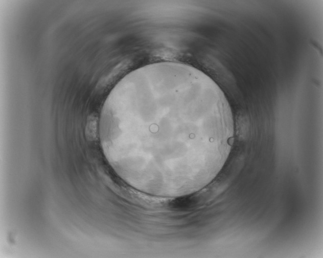 X0000098140036200805151151