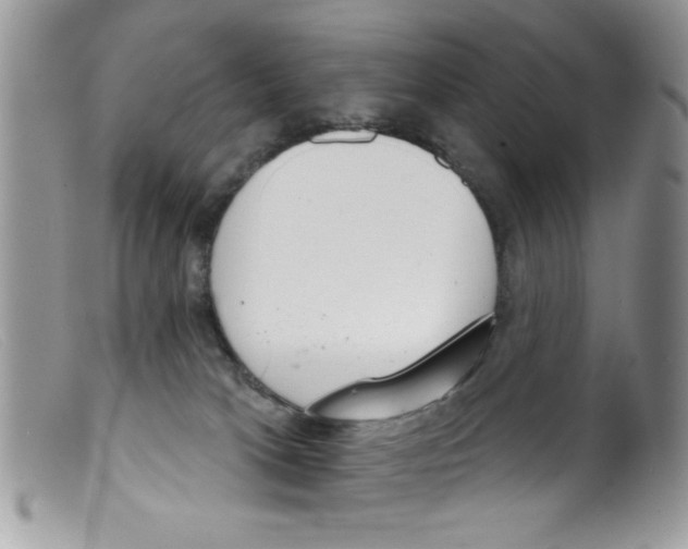 X0000098140037200805151151