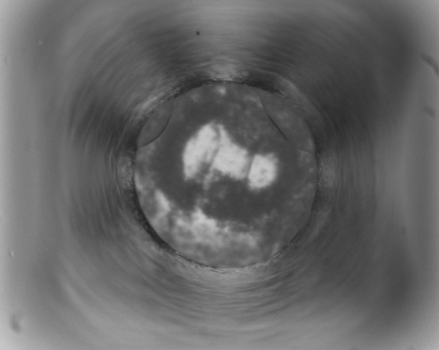 X0000098140043200805151151