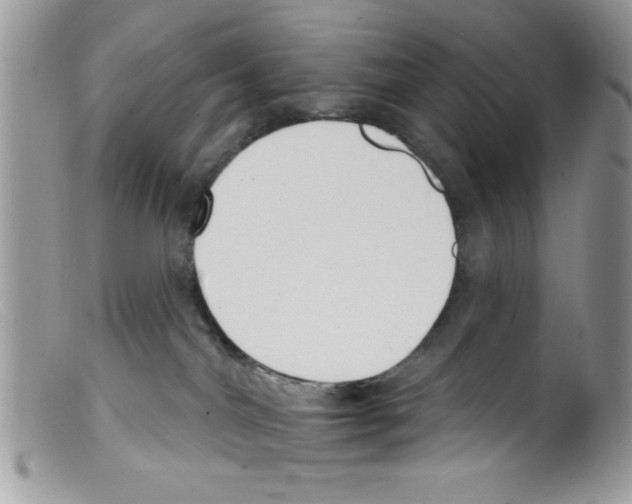 X0000098140044200805151151