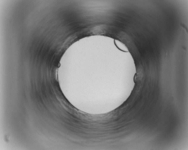 X0000098140046200805151151