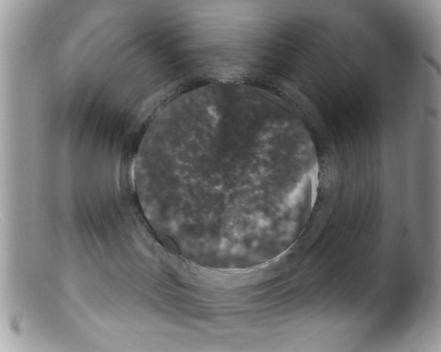 X0000098140047200805151151