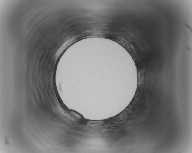 X0000098140051200805151150