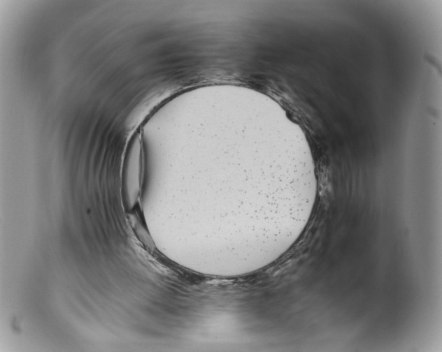 X0000098140052200805151150