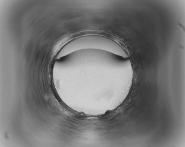 X0000098140053200805151150