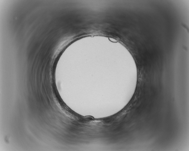 X0000098140055200805151150