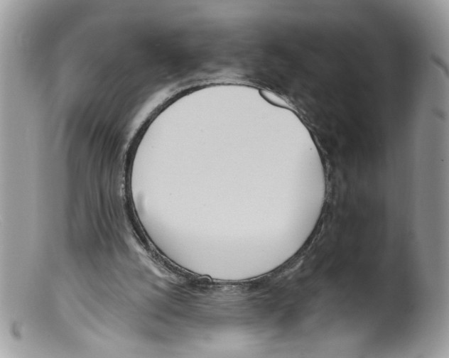 X0000098140056200805151150