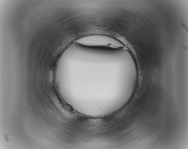 X0000098140057200805151150