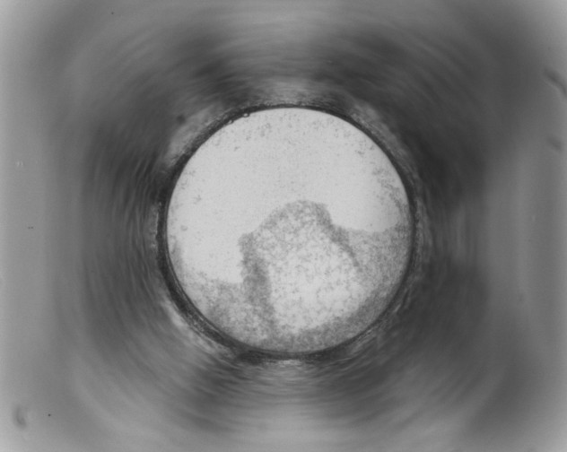 X0000098140058200805151150