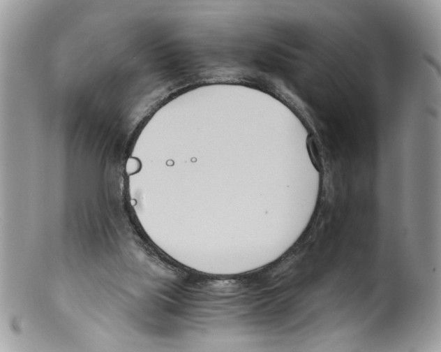 X0000098140059200805151150