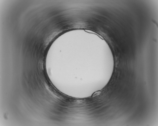 X0000098140060200805151150