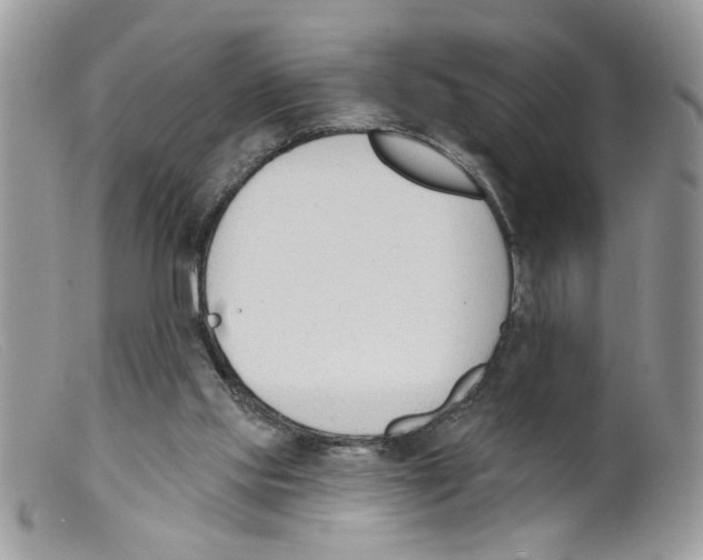 X0000098140061200805151150