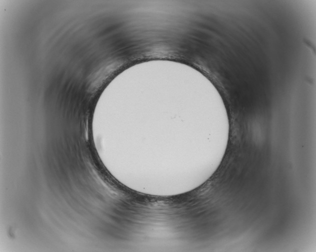 X0000098140062200805151150