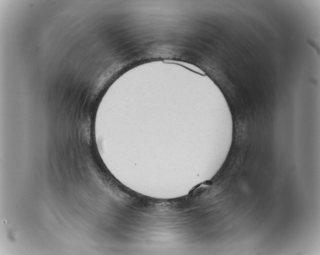 X0000098140064200805151150