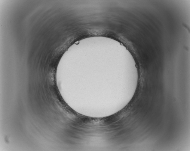 X0000098140065200805151150