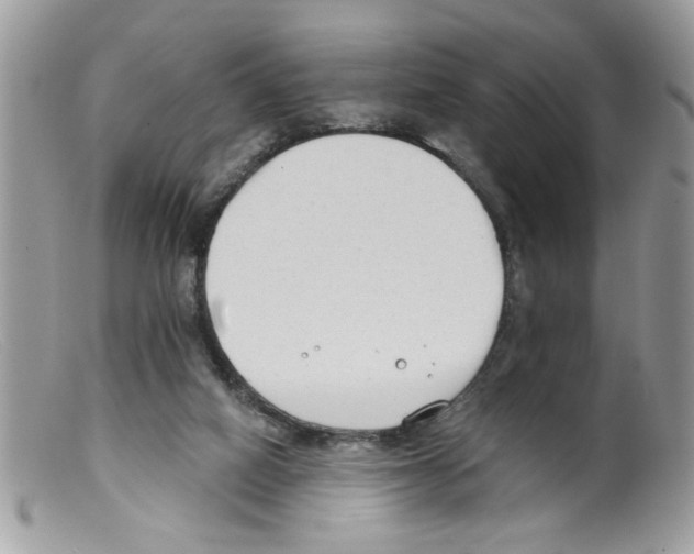 X0000098140066200805151150