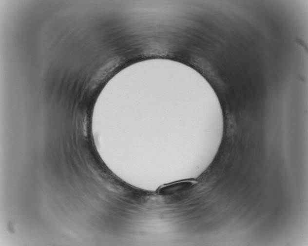 X0000098140068200805151150