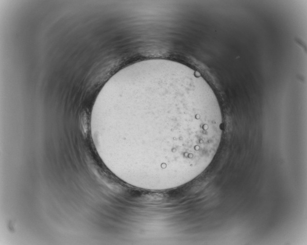 X0000098140069200805151151