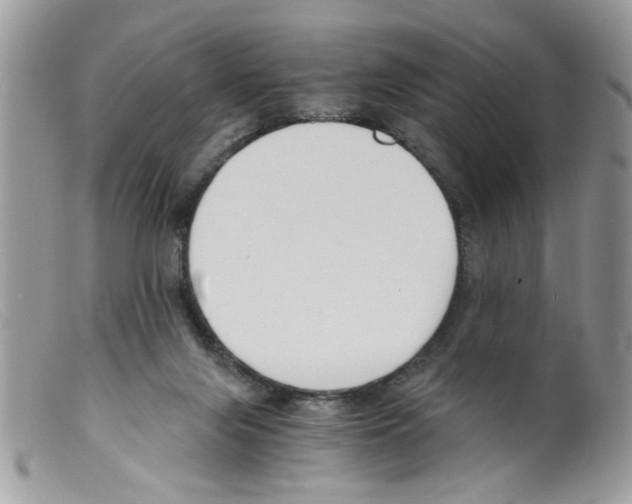 X0000098140071200805151151