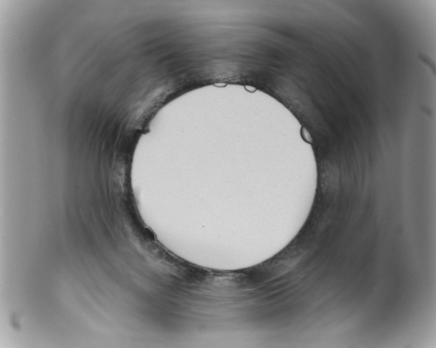 X0000098140072200805151151