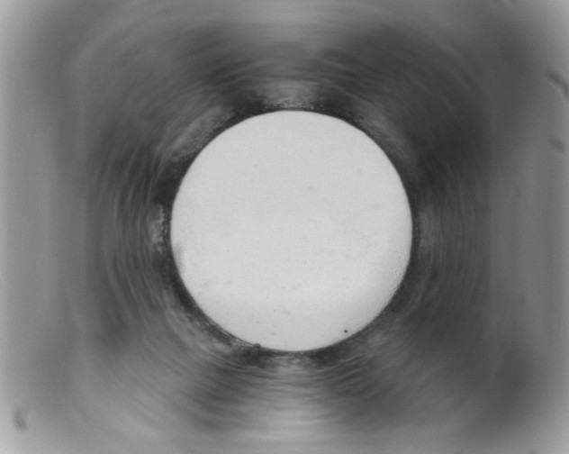 X0000098140073200805151151