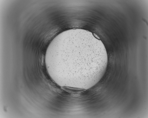 X0000098140076200805151151