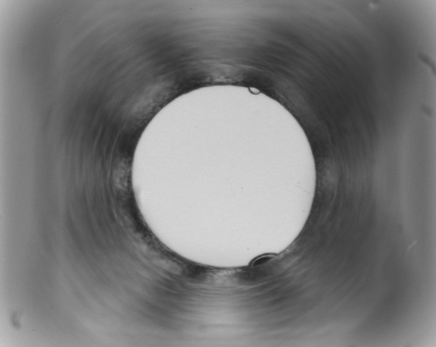 X0000098140078200805151151