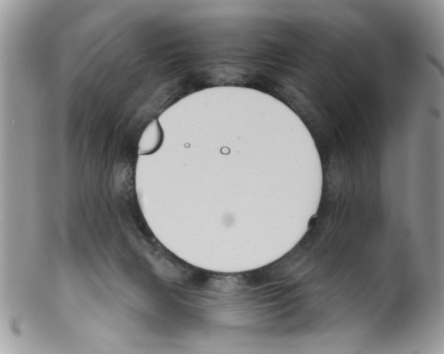 X0000098140079200805151151