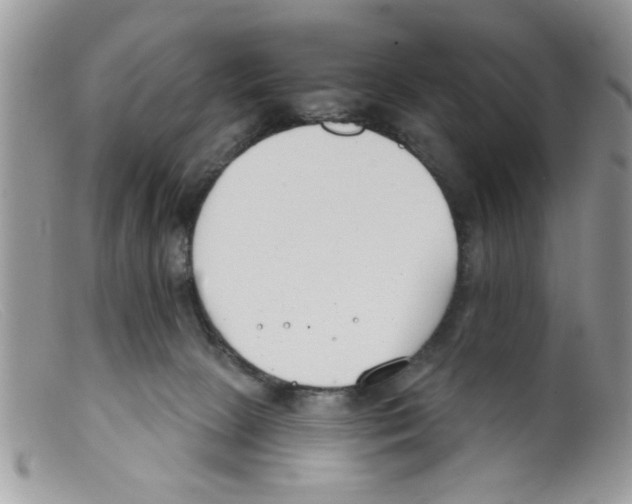 X0000098140081200805151151