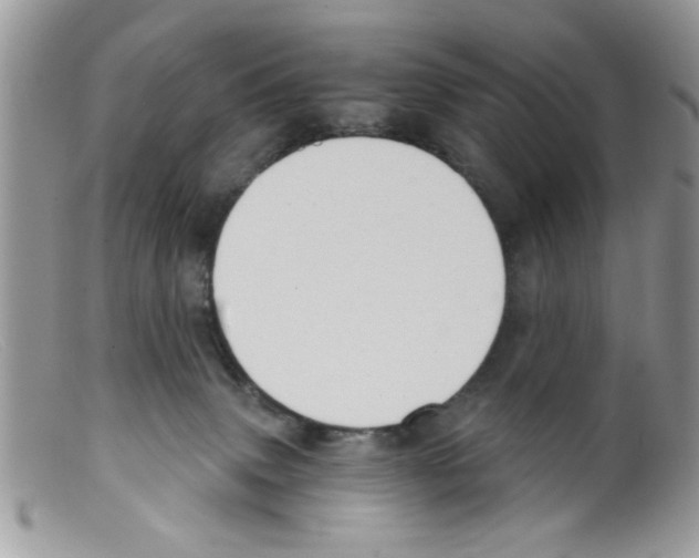 X0000098140083200805151151