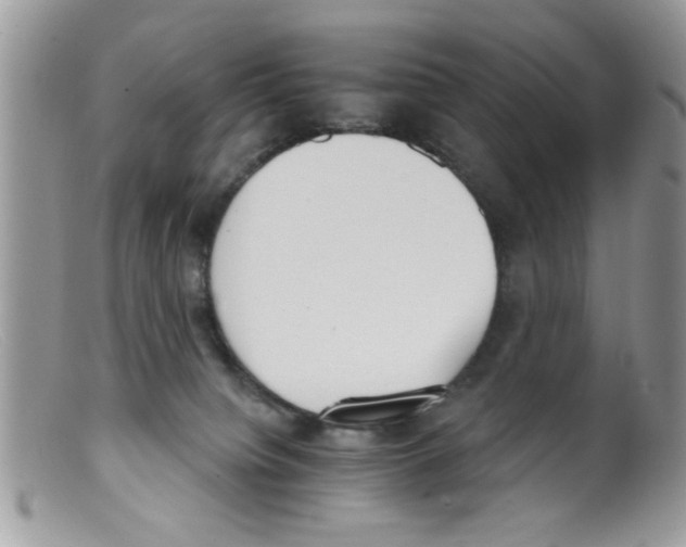 X0000098140084200805151151