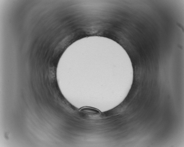 X0000098140085200805151151