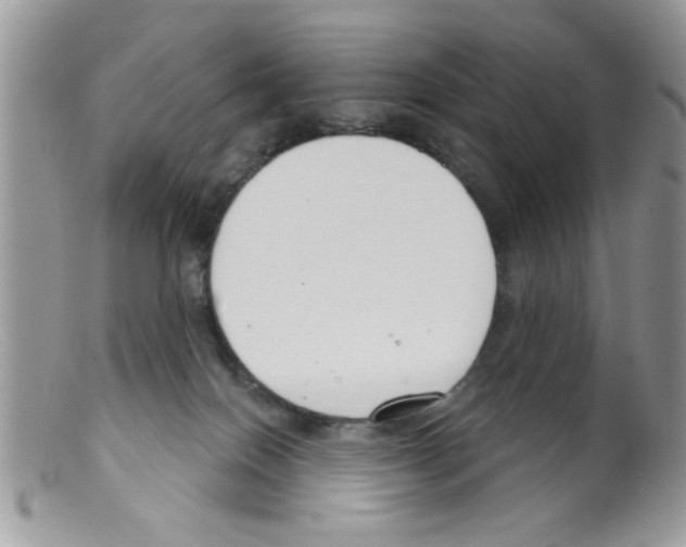 X0000098140086200805151151