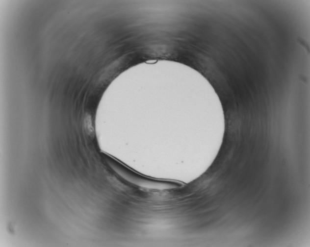 X0000098140089200805151151