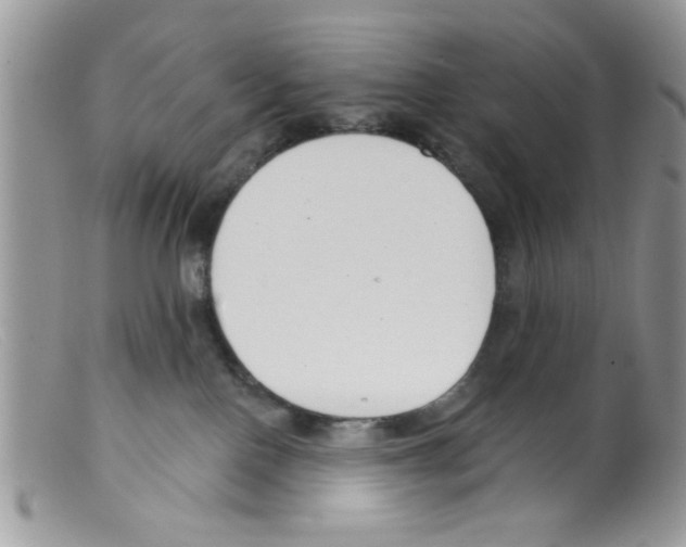 X0000098140090200805151151