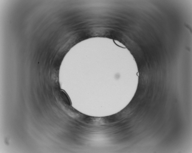 X0000098140091200805151151