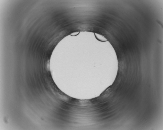 X0000098140095200805151151