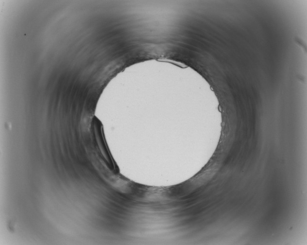 X0000098140096200805151151