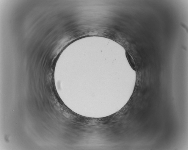 X0000098140098200805151150